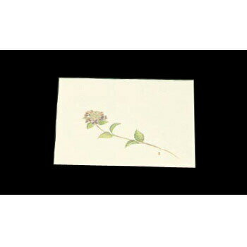 懐石まっと WSS-6 尺三 クリーム あじさい （100枚入）