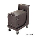 カムドーリーハンドル付 CD100H (131) D / B キャンブロ