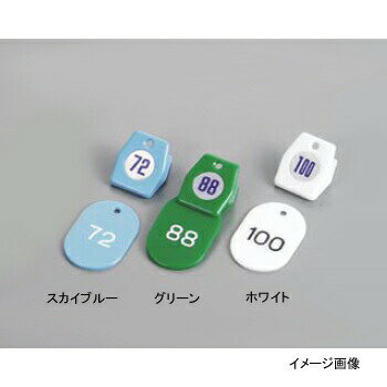 Other - クロークチケットA型(51～100) 11010 グリーン(50個セット)