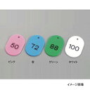 番号札 大(51〜100)11812 グリーン(50個セット)