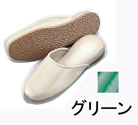 メーカー品番SSK-5203色グリーンサイズL寸法(cm)26.0～27.0ホテル・旅館・病院・医院・学校・ゴルフ場・各種施設等で●天然ゴム入スポンジ底●アキレス抗菌レザレット素材●屋内専用●抗菌・防臭加工※サイズは目安になります。※抗菌名入れ等を承ります。例:1号明朝体、初号明朝体天然ゴム入スポンジ底●すべりにくく、弾力性があり履き心地が良くソフトです。 耐久性抜群、硬く粗い床面に。