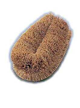 ����᥿�亮��20������ �� ��JTW08001��