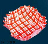 ココ・ケース(500枚入)正角 赤