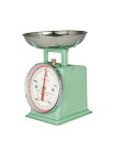 ダイエットスケール 100-126 500g ミントグリーン (BSK8607)