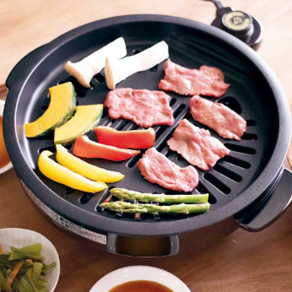 ノーリツ ロティプレート コンロ部材 部材 DP0167