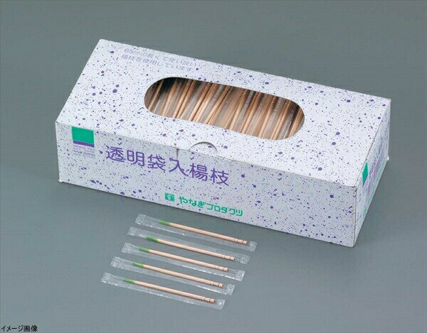 ポリ完封香り付楊枝(1000本入)ミント