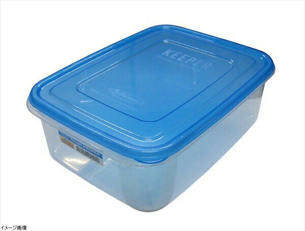 Condiments Container - ラストロ タフキーパー ジャンボケース(L)B-1884TB