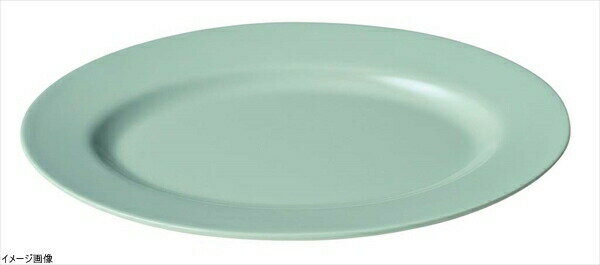 ENTEC 小判皿リム型10インチ 青磁 CS-23