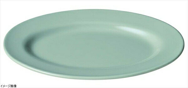 ENTEC 小判皿リム型8インチ 青磁 CS-24