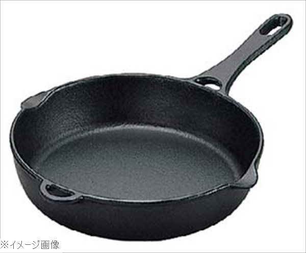 ����Ŵ �ե饤�ѥ� 21cm 24011