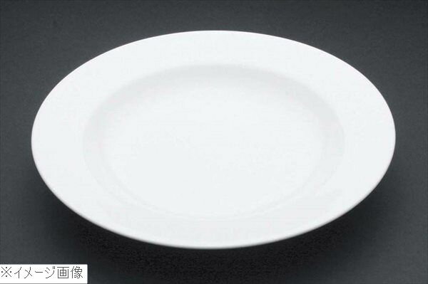 洋食器シリーズ 8吋スープ B15－4