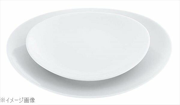 磁器 中華・洋食兼用食器 白楕円深皿 17cm