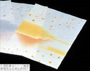 会席紙(300枚入)M30−098 紅葉