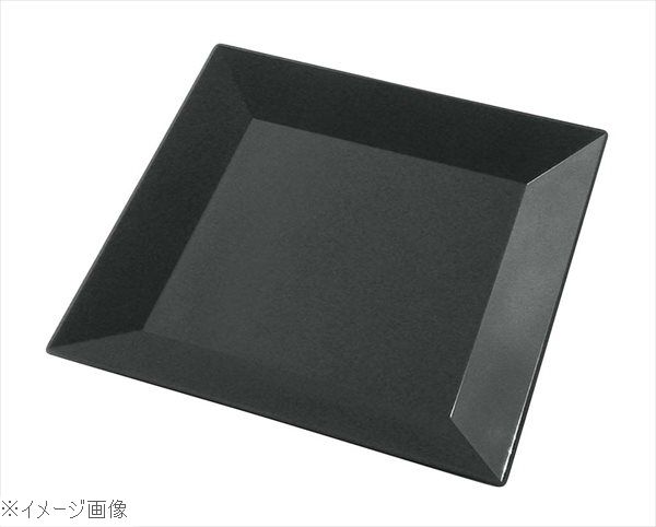 プラ容器 角皿 大（10枚入）黒
