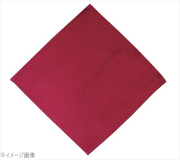 EBM カトラリーケース用ナプキン（10枚入）ディープレッド 230×230