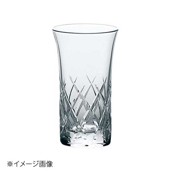 レジナ ヒトクチビール T-21104HS-E107(6個入)