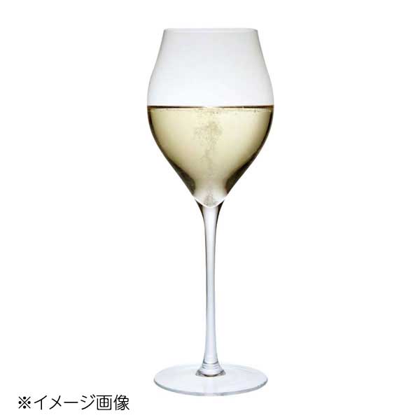 レーマン ミランダ チューリップ シャンパーニュ 20207 300cc(6個入)