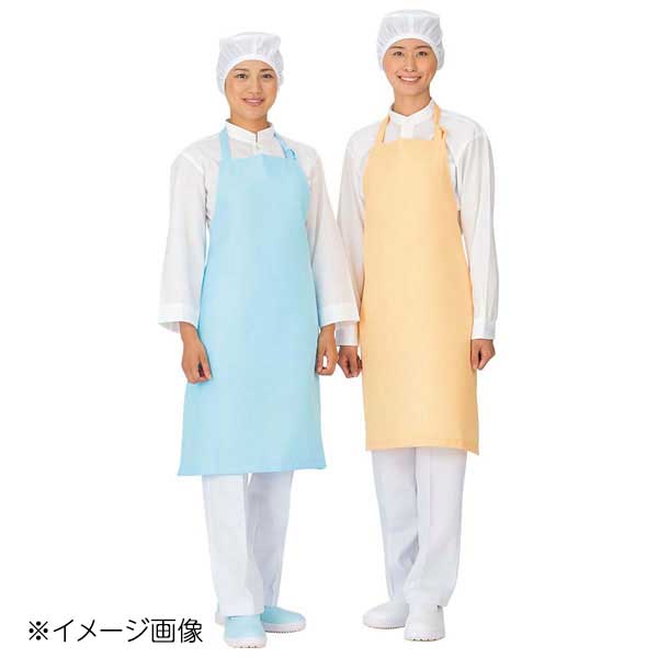 ドクターアースエプロン 首掛けタイプ E3500-2 ソフトグリーン