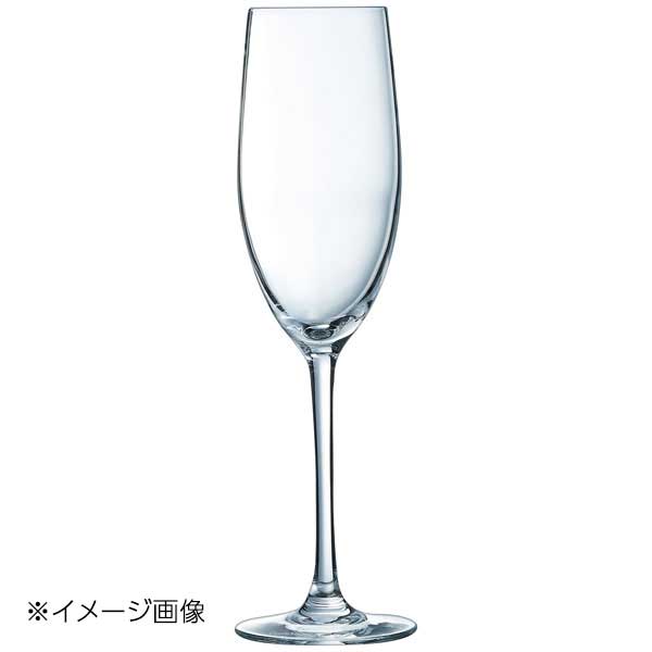 ���٥�� �ե롼�� 24 D0796(6����)