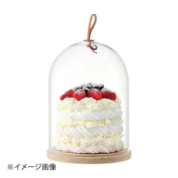 イバロ ドーム&アッシュベース TLA1187