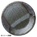 花伝 山がすみ 石目9.0皿 51538004