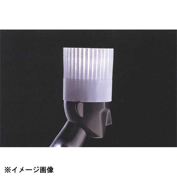 ダック パリス ハット 薄型 PH-201 (10枚入) 378452