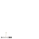 カンダ カクテルピン(6本入) 金メッキ 丸穴 280227
