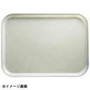 CAMBRO キャンブロ カムトレー 1014 アンチークパーチメント 605795