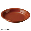 光洋陶器 KOYO カントリーサイド チャコールブラウン 22cm パスタボウル 16161012