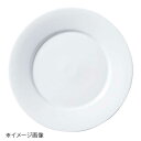 桐井陶器 モデルノ MODERNO Naples(ナポリ) 27cm丸皿 17100002