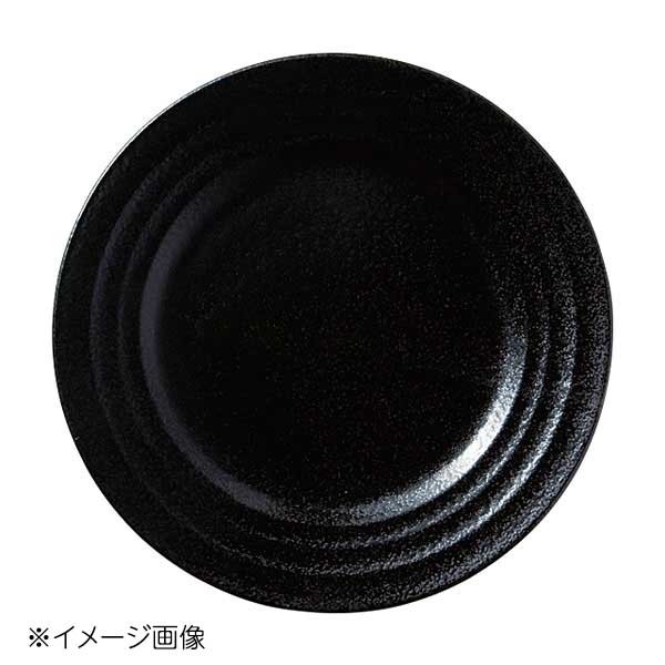 桐井陶器 モデルノ MODERNO Linea black(リネア BK) 黒 9