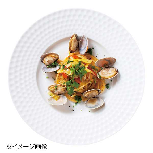 桐井陶器 モデルノ MODERNO ディンプル ディナープレート 301-73