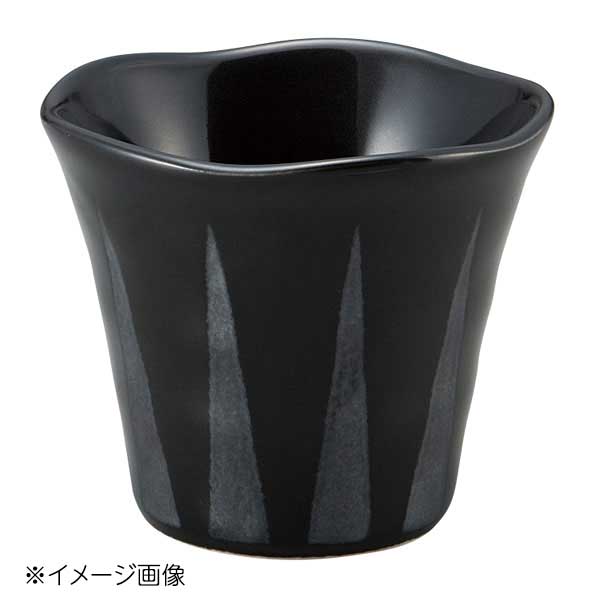 桐井陶器 モデルノ MODERNO COCOアローBK フローラルカップ 306-02