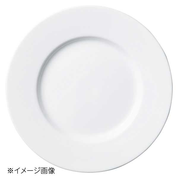 桐井陶器 モデルノ MODERNO orion 20.5cmプレート 8513-01