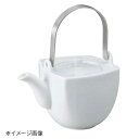 桐井陶器 モデルノ MODERNO OBI(オビ) ティーポット 01-54(3)
