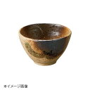 桐井陶器 モデルノ MODERNO 信楽織部(しがらきおりべ) 手びねり4寸姫丼 03-15