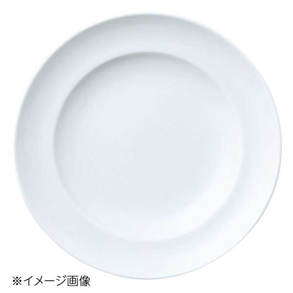 桐井陶器 モデルノ MODERNO Spa:ta(スパータ) 10.5"ディナー皿 61-05