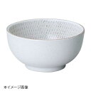 桐井陶器 モデルノ MODERNO 諏訪(すわ) 3.8丼(白) 88-10