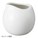 桐井陶器 モデルノ MODERNO MOCAFE(モカフェ) WH 丸ピッチャー(小) 9511-16WH