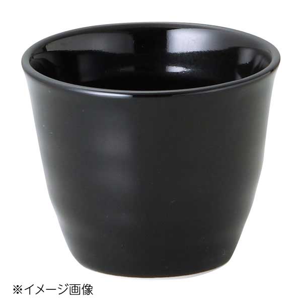 桐井陶器 モデルノ MODERNO D&N(ディー&エヌ) カップ DN43