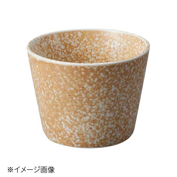 桐井陶器 モデルノ MODERNO 窯変志野 そば千代口 003-E045