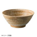 桐井陶器 モデルノ MODERNO 信濃路4.8寸めし丼 04-04