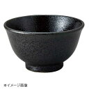 桐井陶器 モデルノ MODERNO 反深口4.0丼 黒耀 299-16