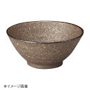 桐井陶器 モデルノ MODERNO earth 4.8めし丼 309-53