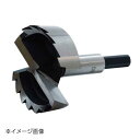 新潟精機 SK フォスナービット φ60 FB-60