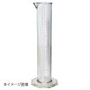 新潟精機 BeHAUS PC製メスシリンダ 500ml PM-500