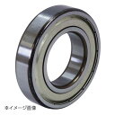 新潟精機 BeHAUS ボールベアリング 両面シールド 6209ZZ