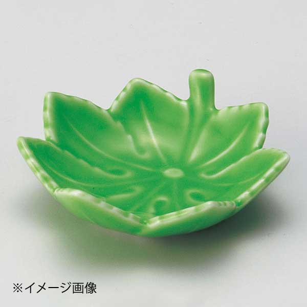 モミジ珍味緑