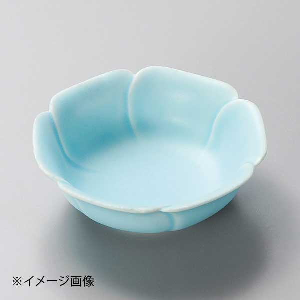 花芙蓉 水色浅鉢