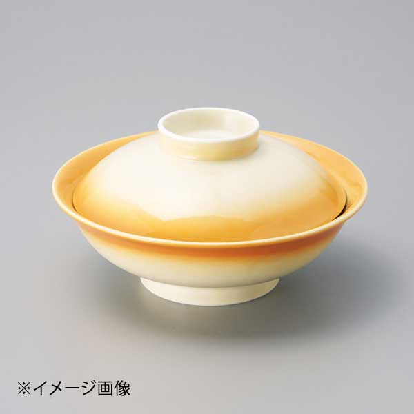 ●サイズ・容量:16.7×9cm●重量:520g●強化食器●カタログコード:15310-580●サイズ・容量:16.7×9cm●重量:520g●強化食器●カタログコード:15310-580